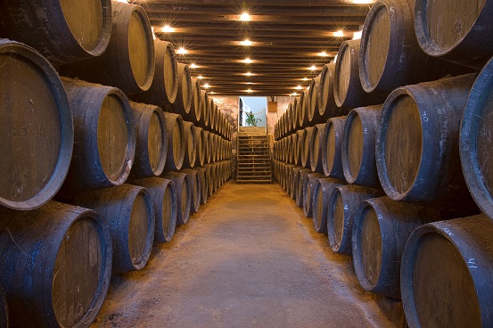 Tio Pepes Cellar